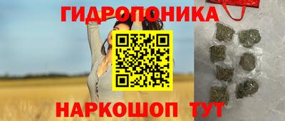 МДПВ Тулун