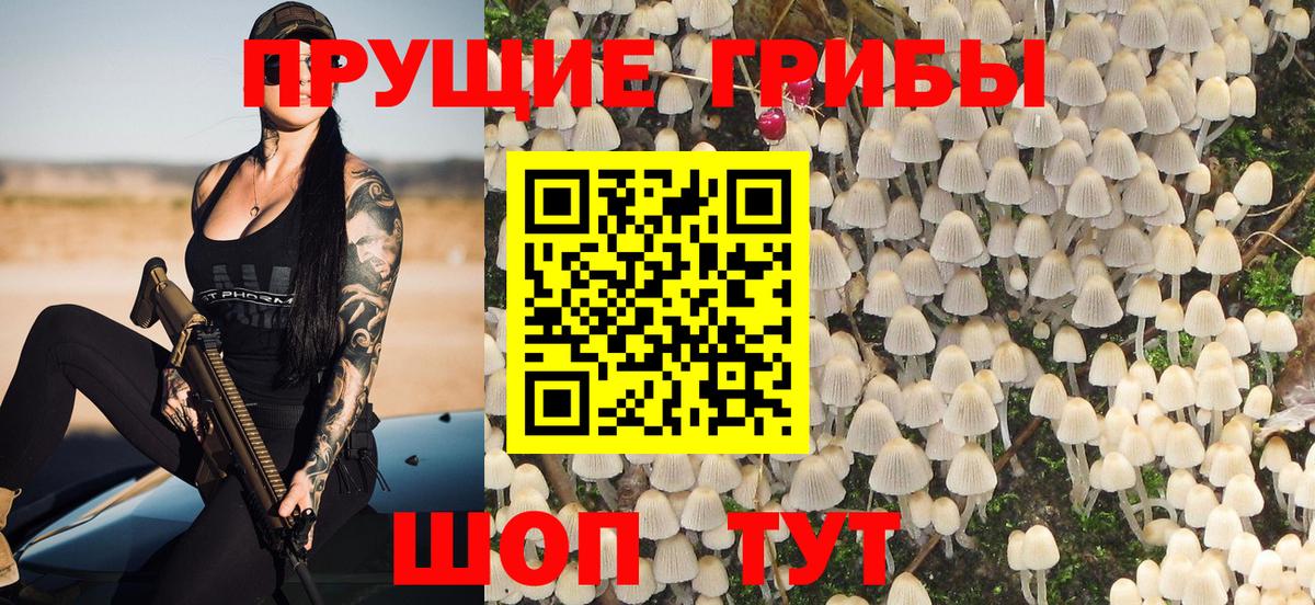 Галлюциногенные грибы Psilocybe  Вход с VPN  Михайловка  Псилоцибиновые грибы Cubensis 